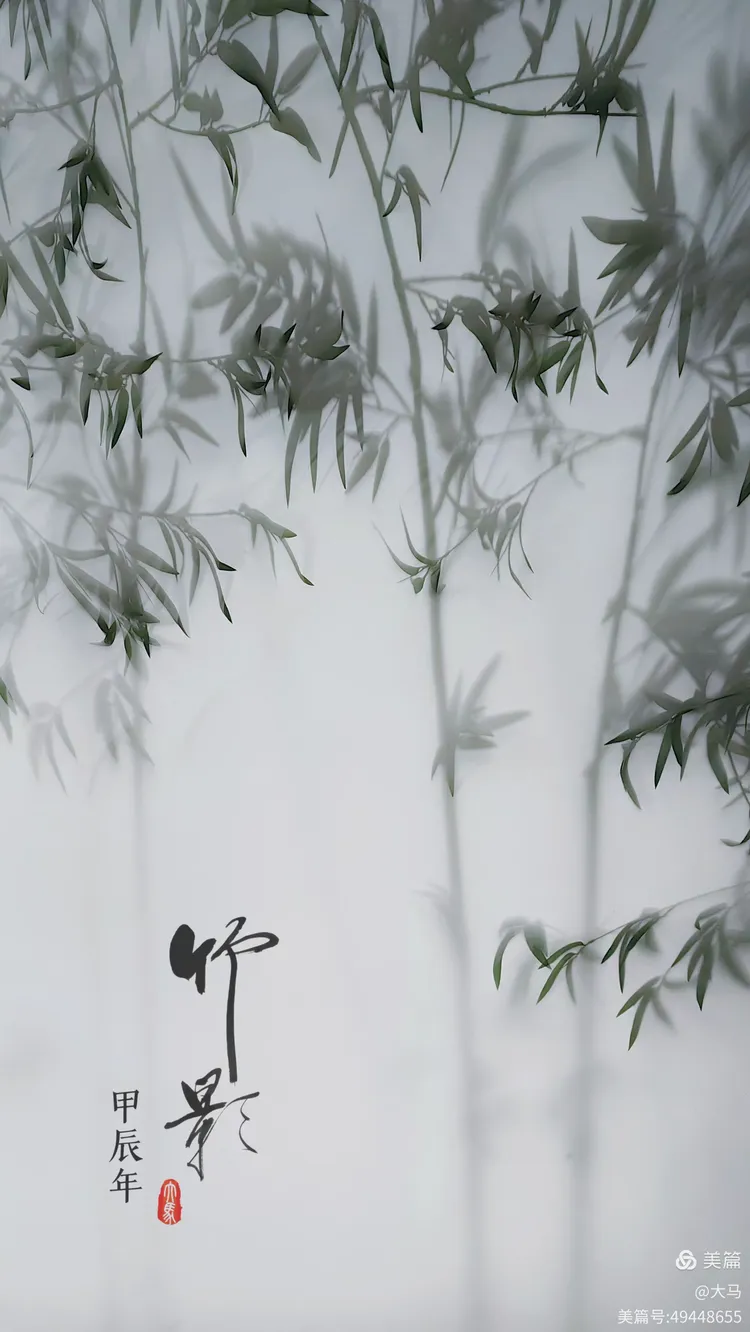 竹影 (画意摄影)